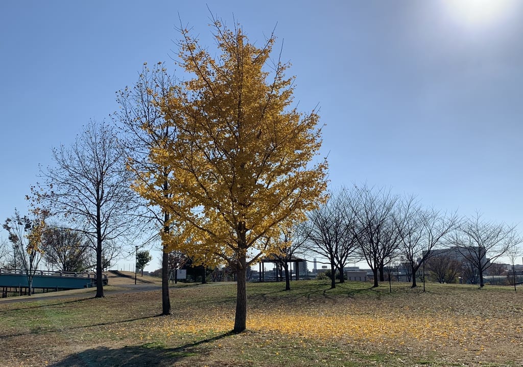 2022年東伏見公園