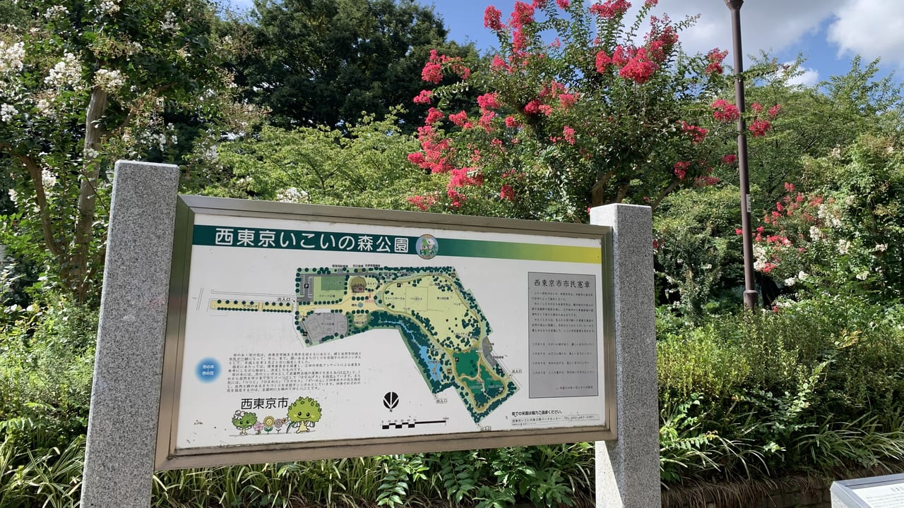 2023年西東京いこいの森公園