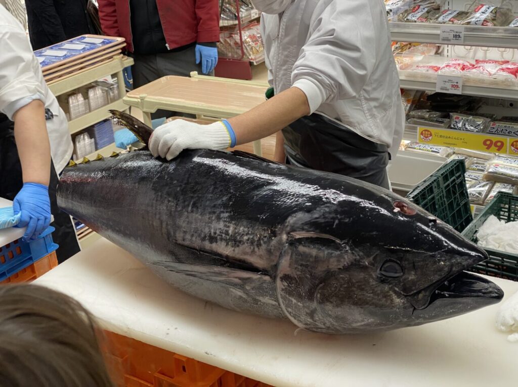 マグロ解体即売会