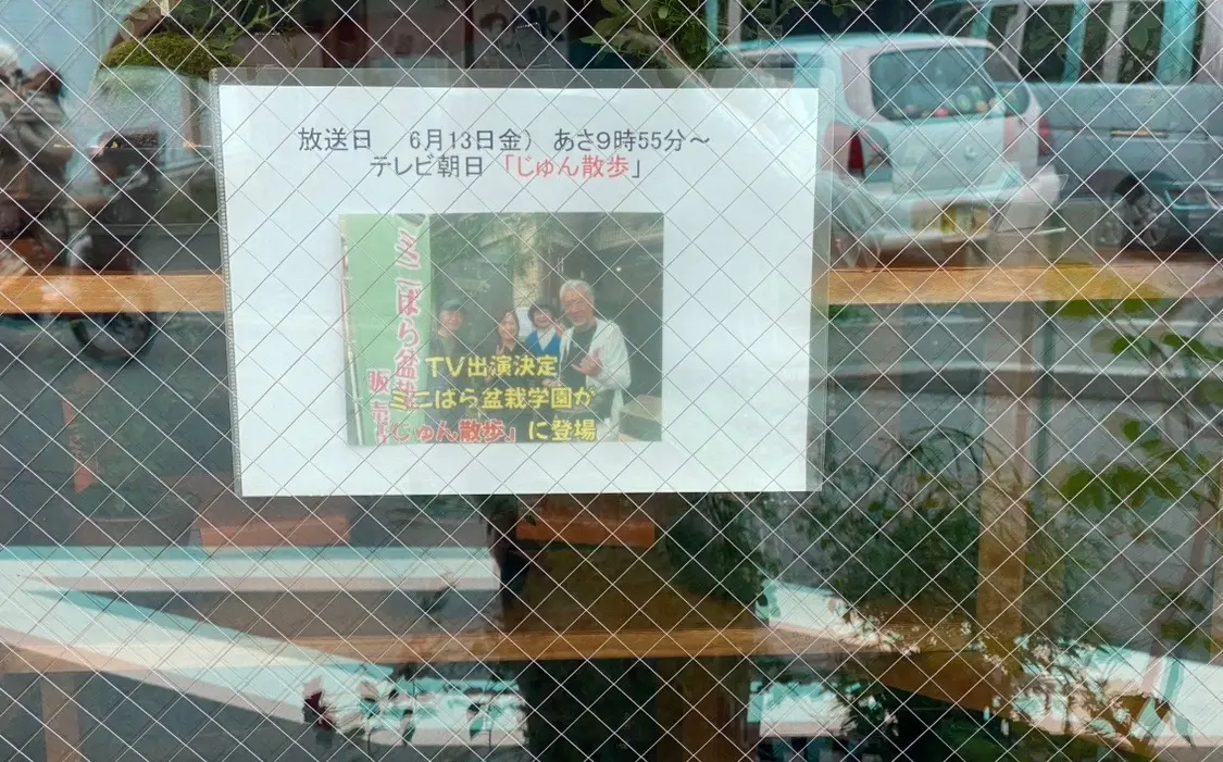 じゅん散歩