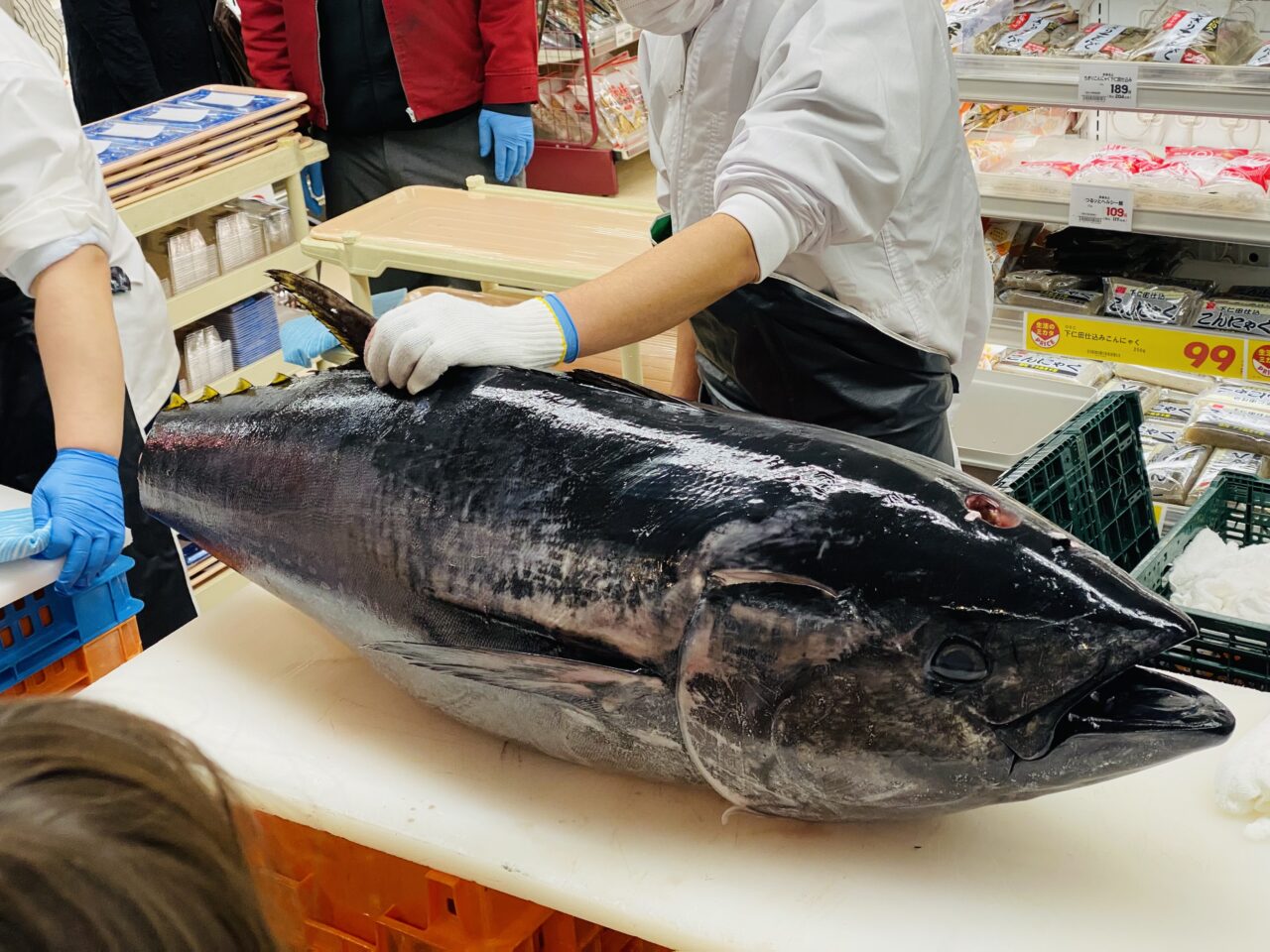 マグロ解体