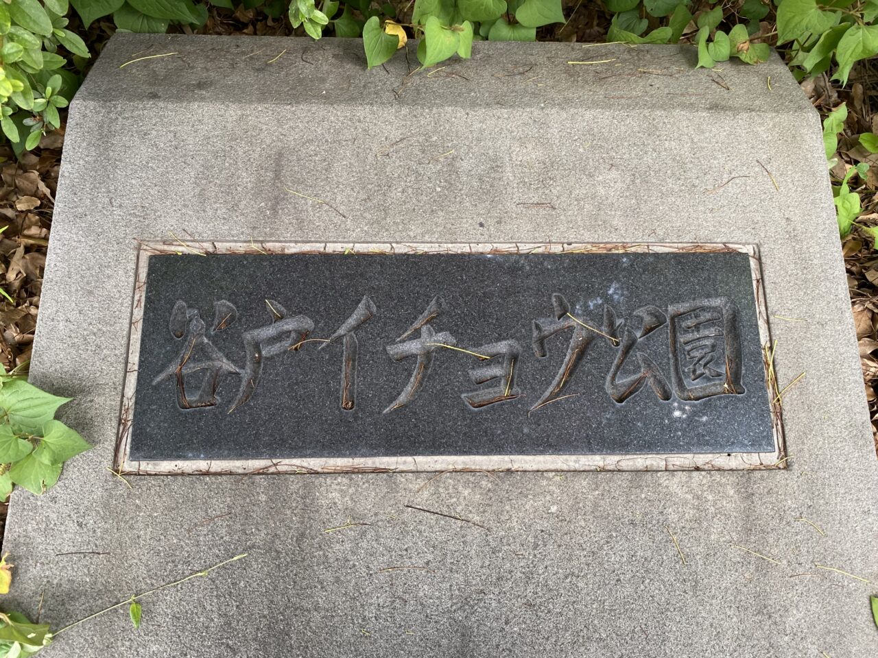 谷戸盆踊り大会