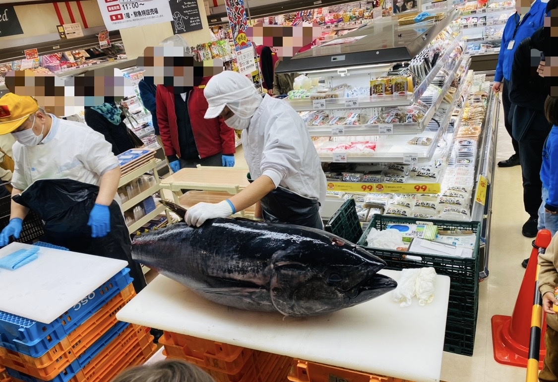 マグロ解体