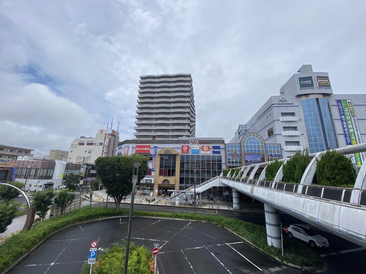 昆虫迷路