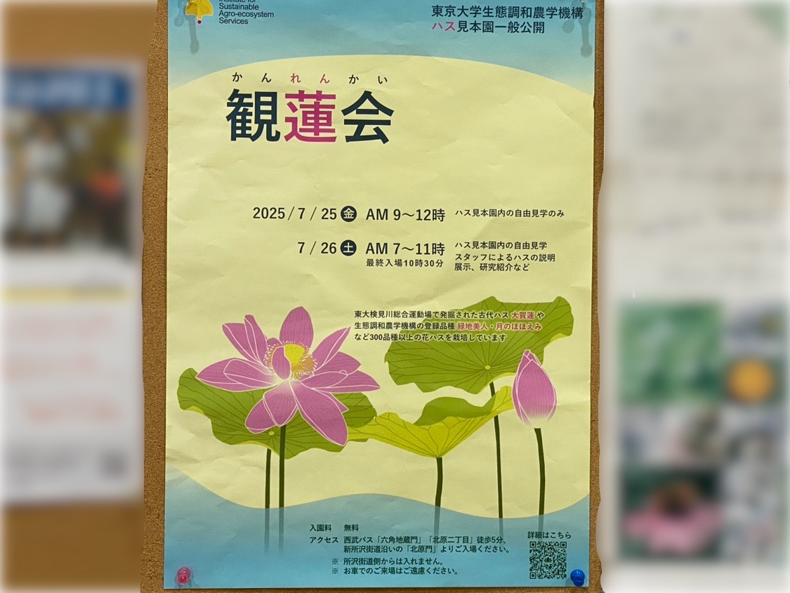 観蓮会