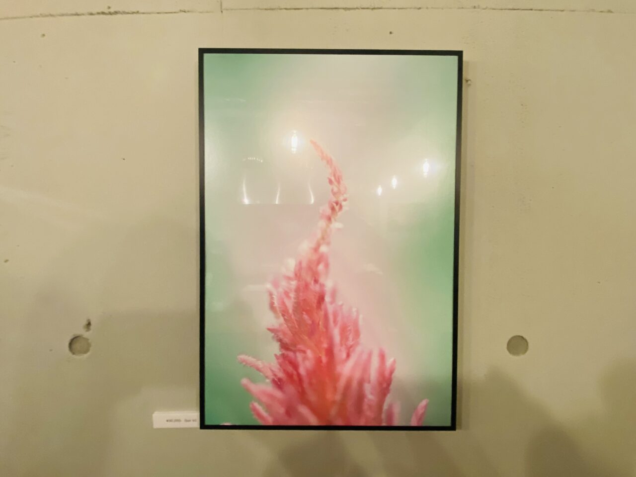 八百屋バル