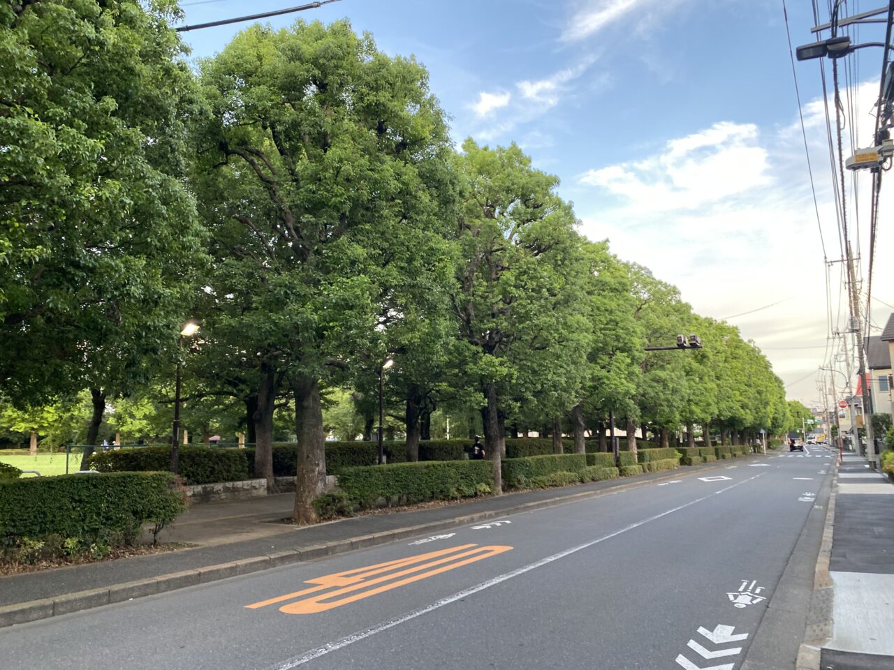保谷夏祭り