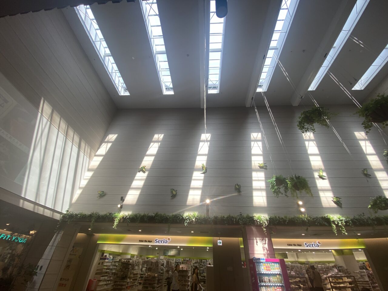 大道芸