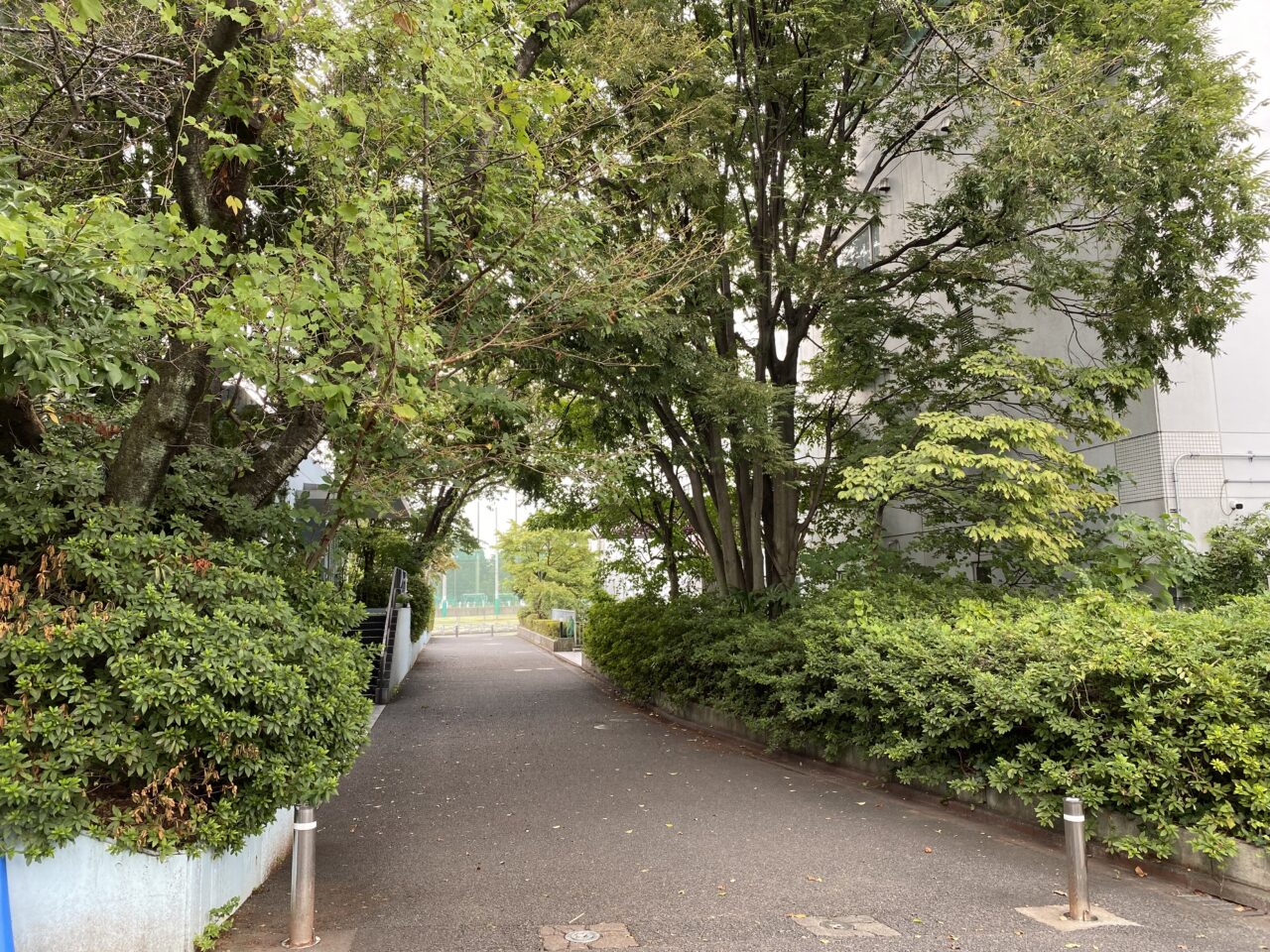 早稲田フェスタ