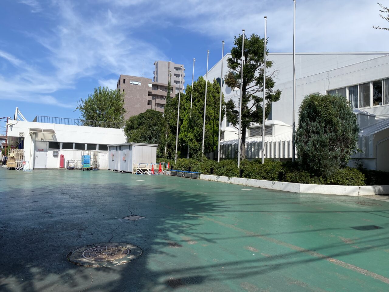 ココフェス