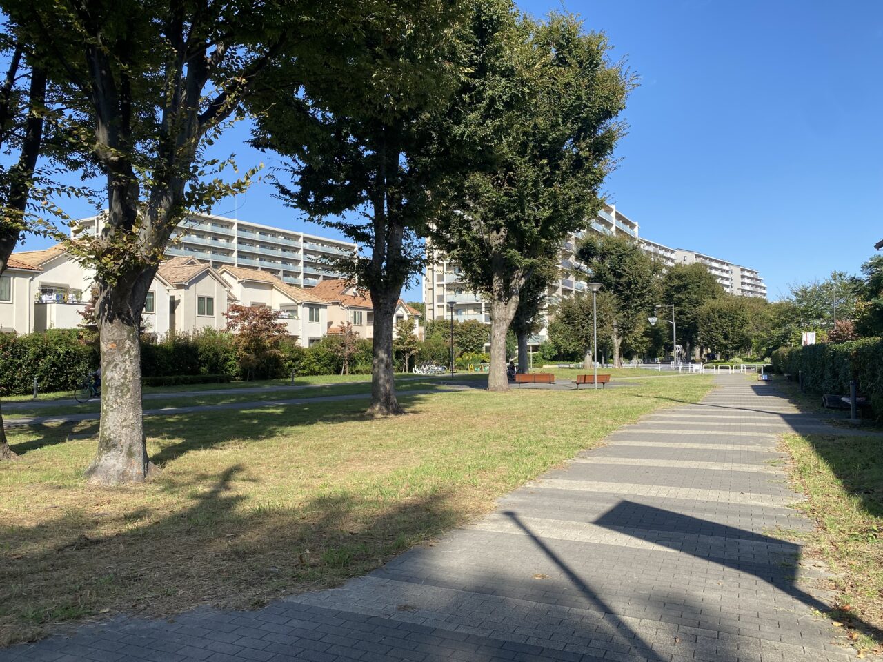 にわジャム