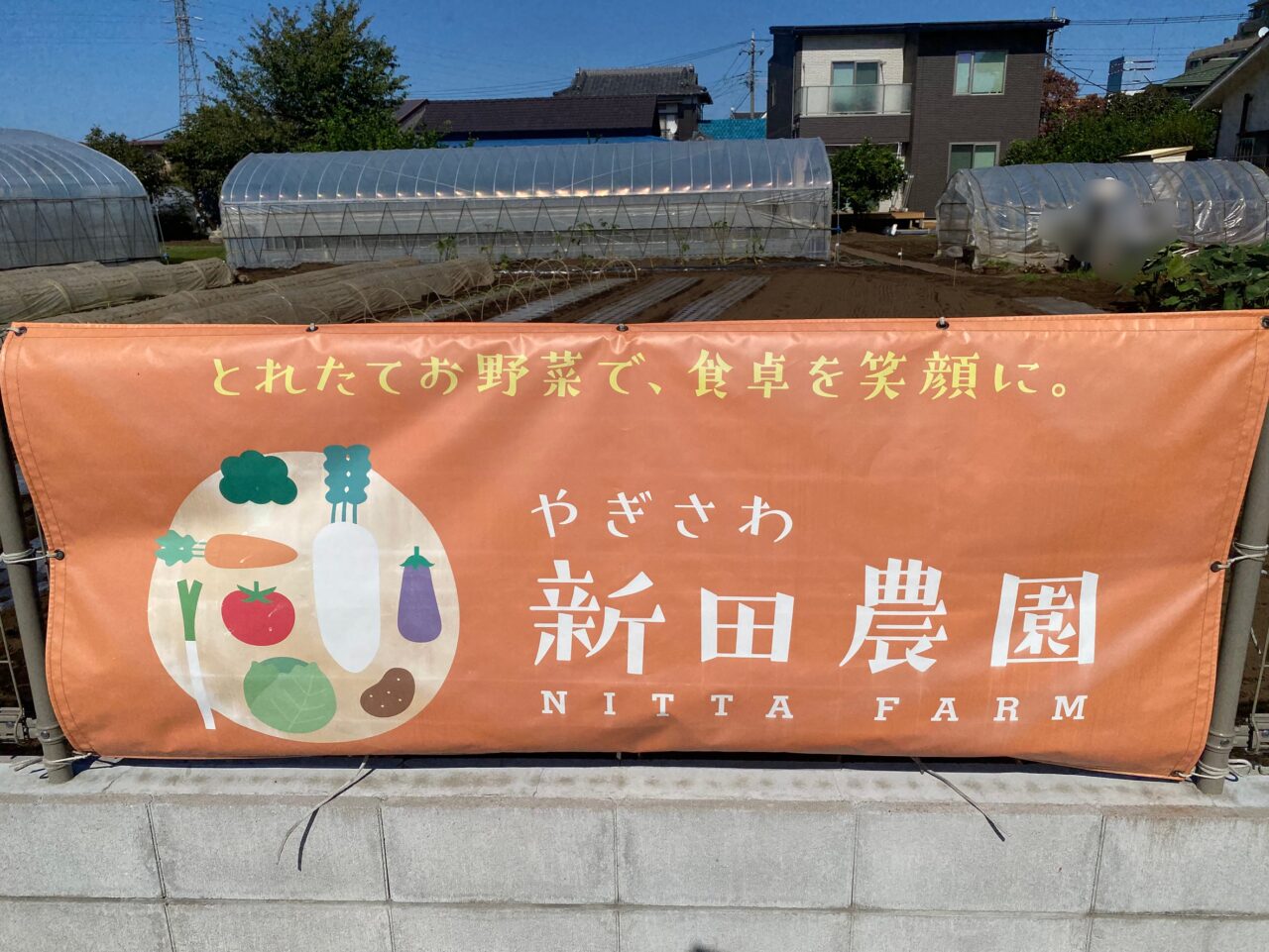 FARMPARTY