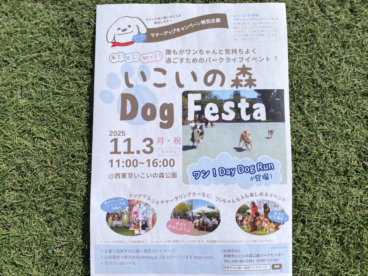 ドッグフェスタ