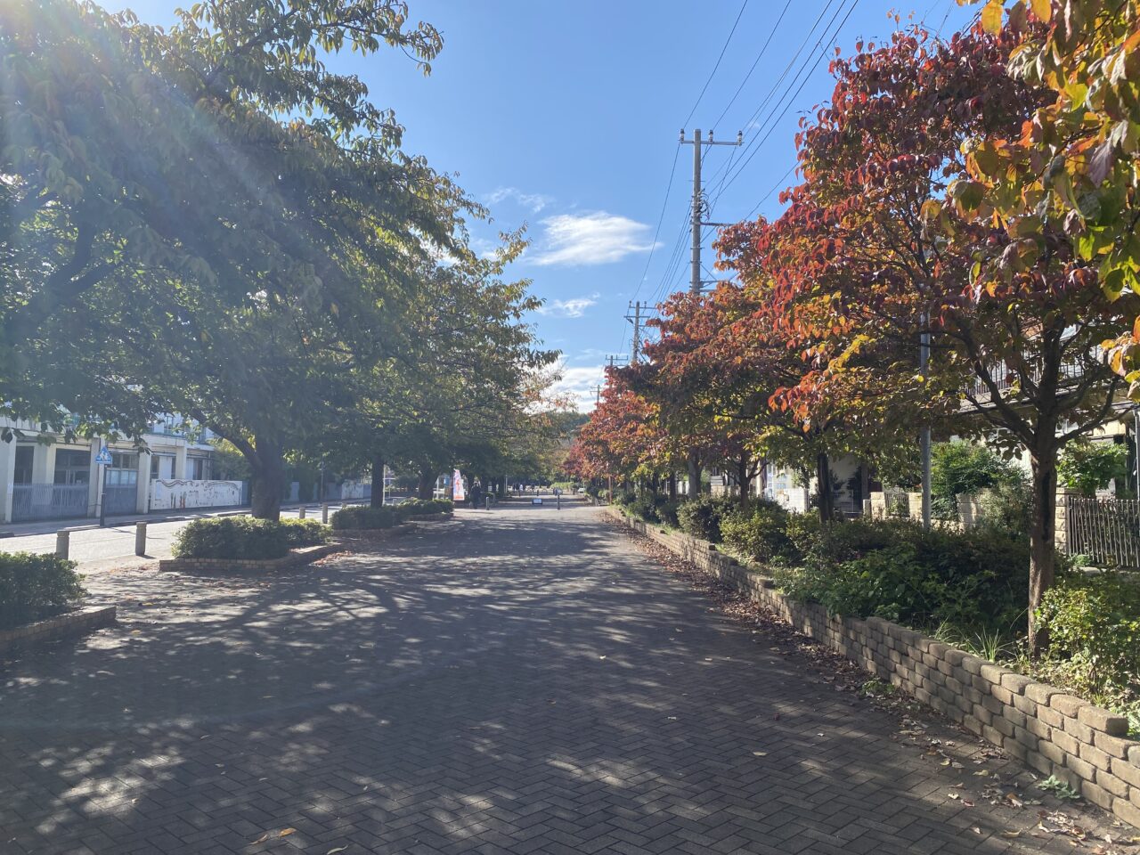 西東京市民まつり