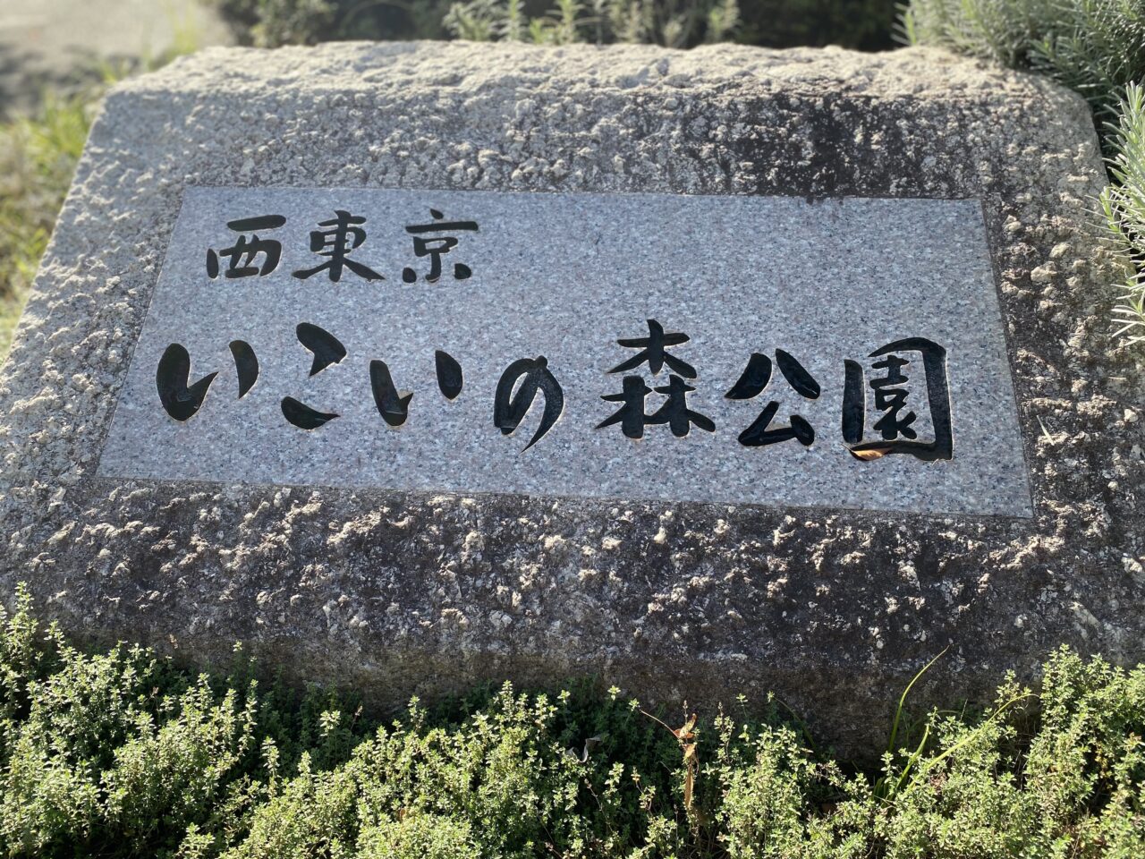 西東京市民まつり