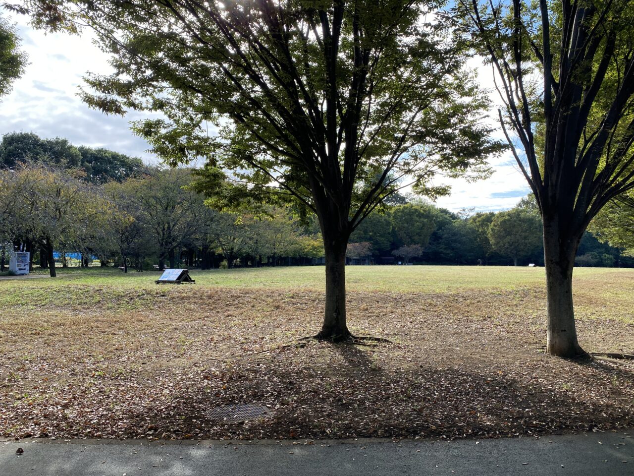 西東京市民まつり