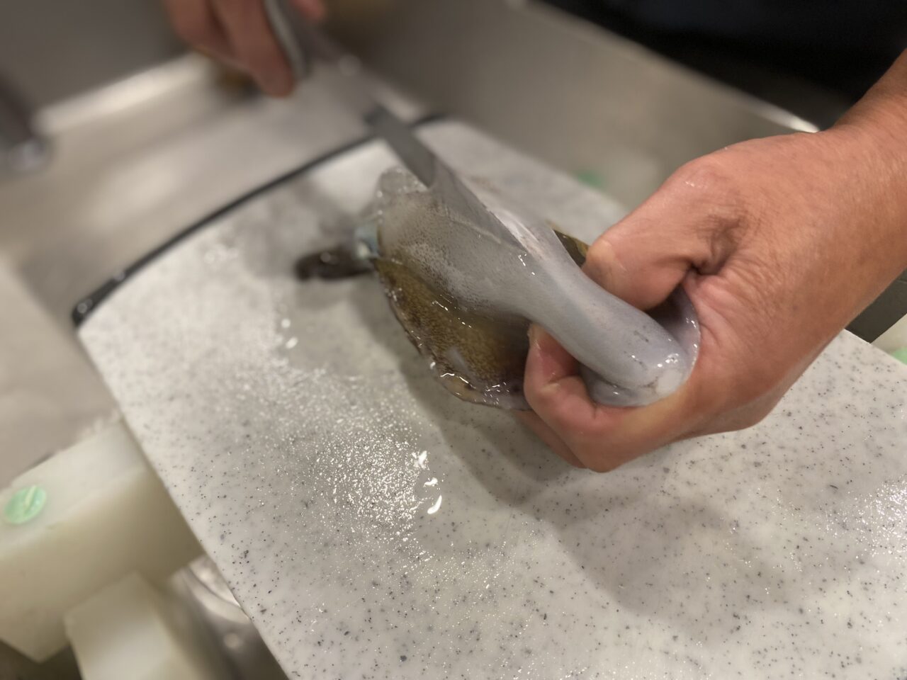 田無漁港直売所