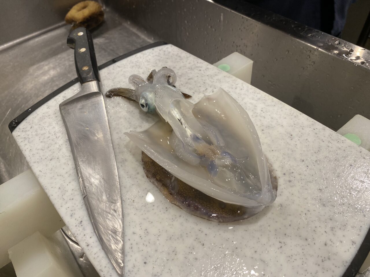 田無漁港直売所