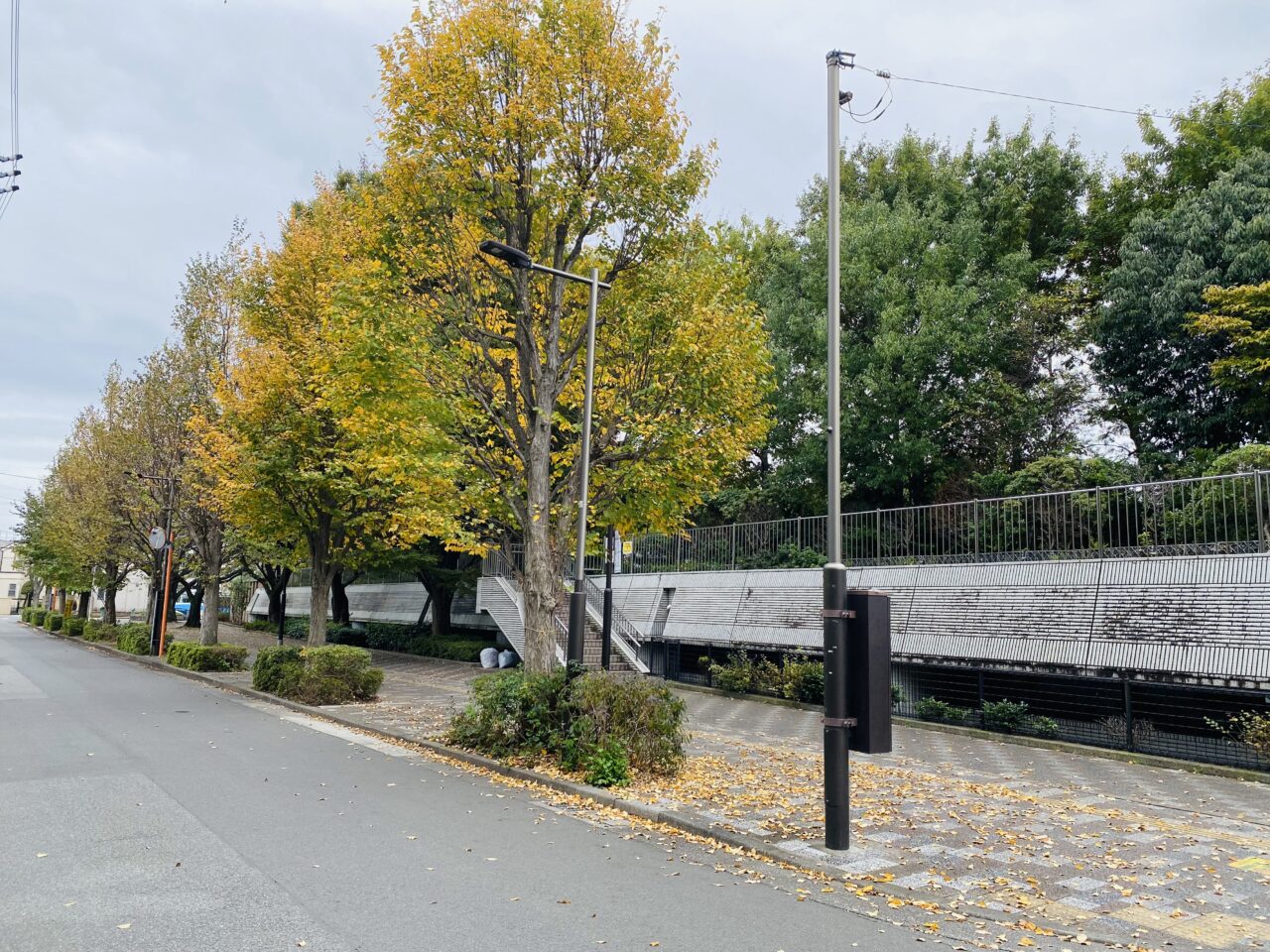 ウィンターフェスティバル