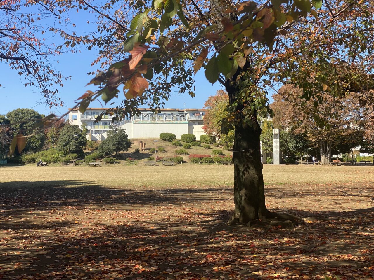 ほくっとまつり