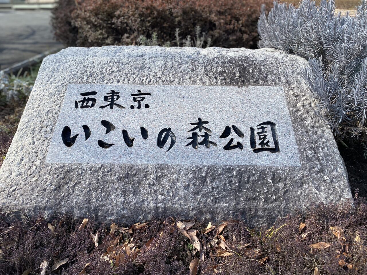 西東京プレーパーク