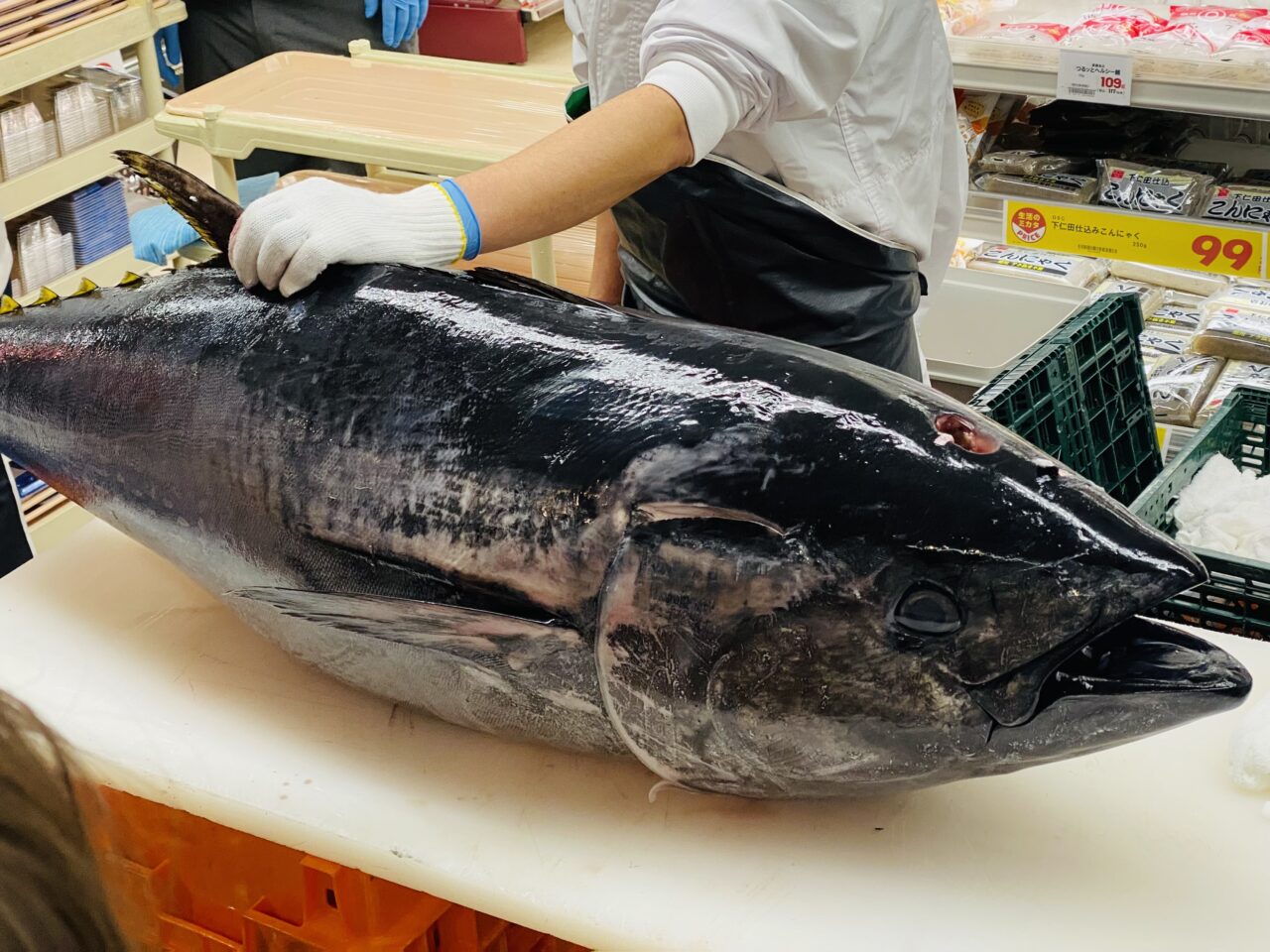まぐろ解体