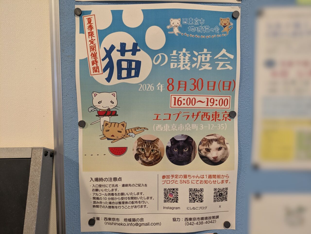 猫の譲渡会ポスター