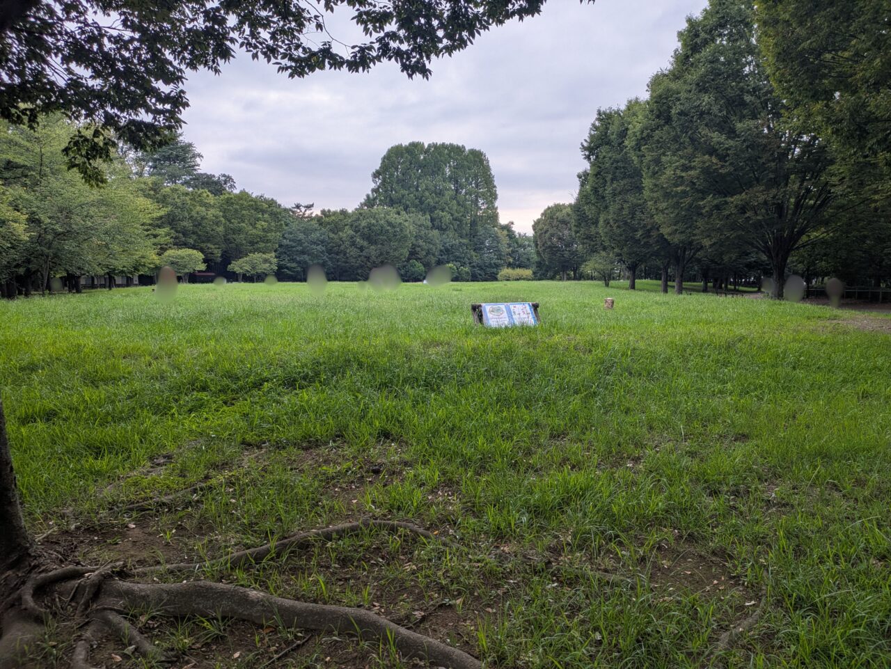いこいの森公園