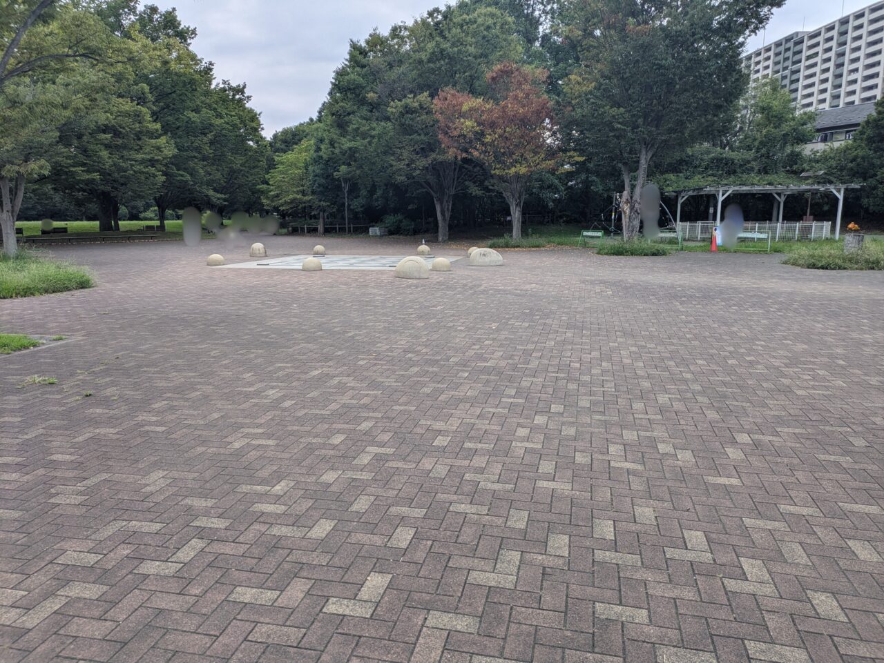 いこいの森公園