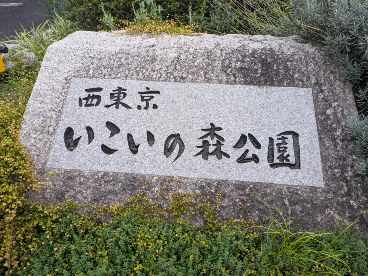 いこいの森公園